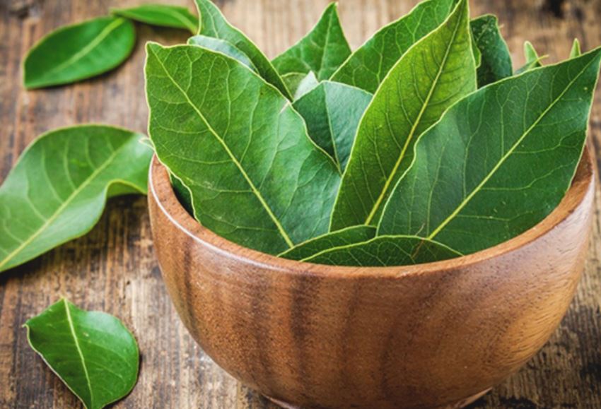 Κατσαρίδες: Έξωση από το σπίτι