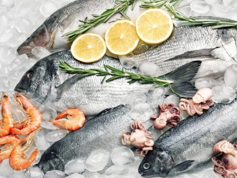 Φρέσκο Ψάρι ή Κρέας