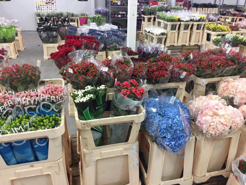 Χονδρικό εμπόριο ανθέων φυτών στην Αθήνα Πατήσια J Van Vliet Athens